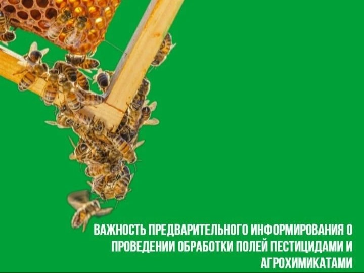 важность предварительного информирования о проведении обработки полей пестицидами и агрохимикатами.